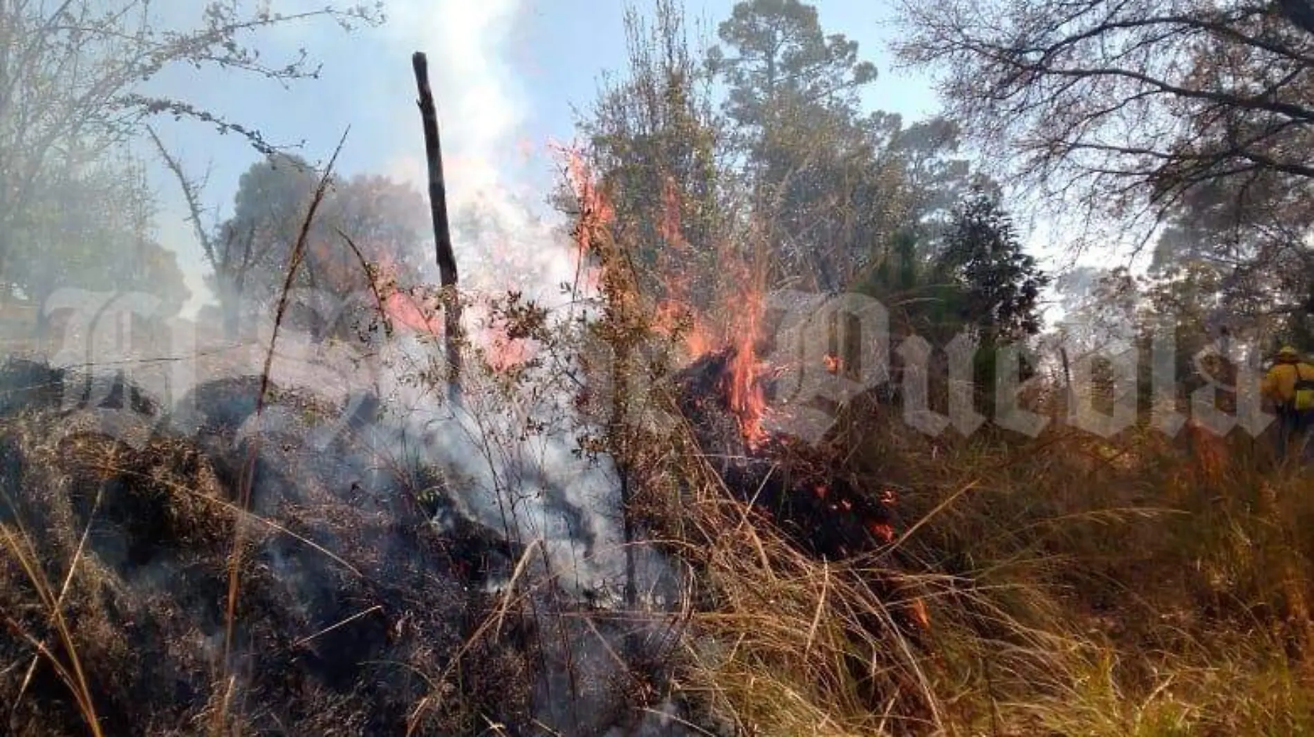 Incendio forestal IztaPopo 1